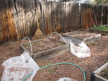 the dishelveled, uncovered beds fit in well with the yard's current look